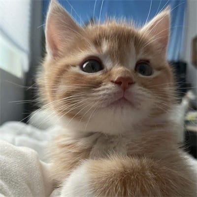 MariaSantos_Gaming avatar